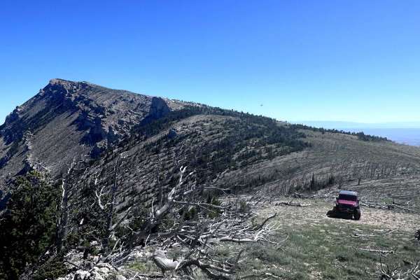 Bald Ridge - FSR 100