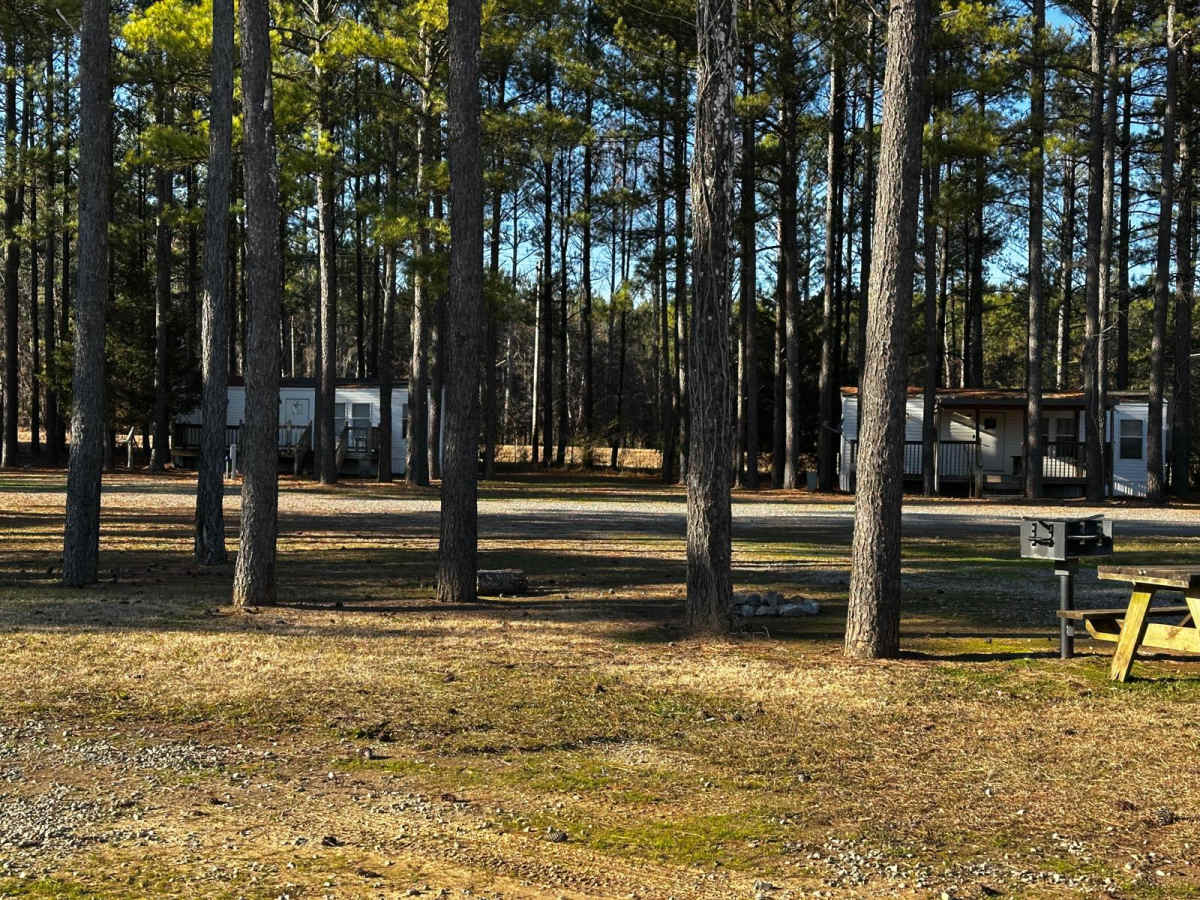 Campground Road photo 5