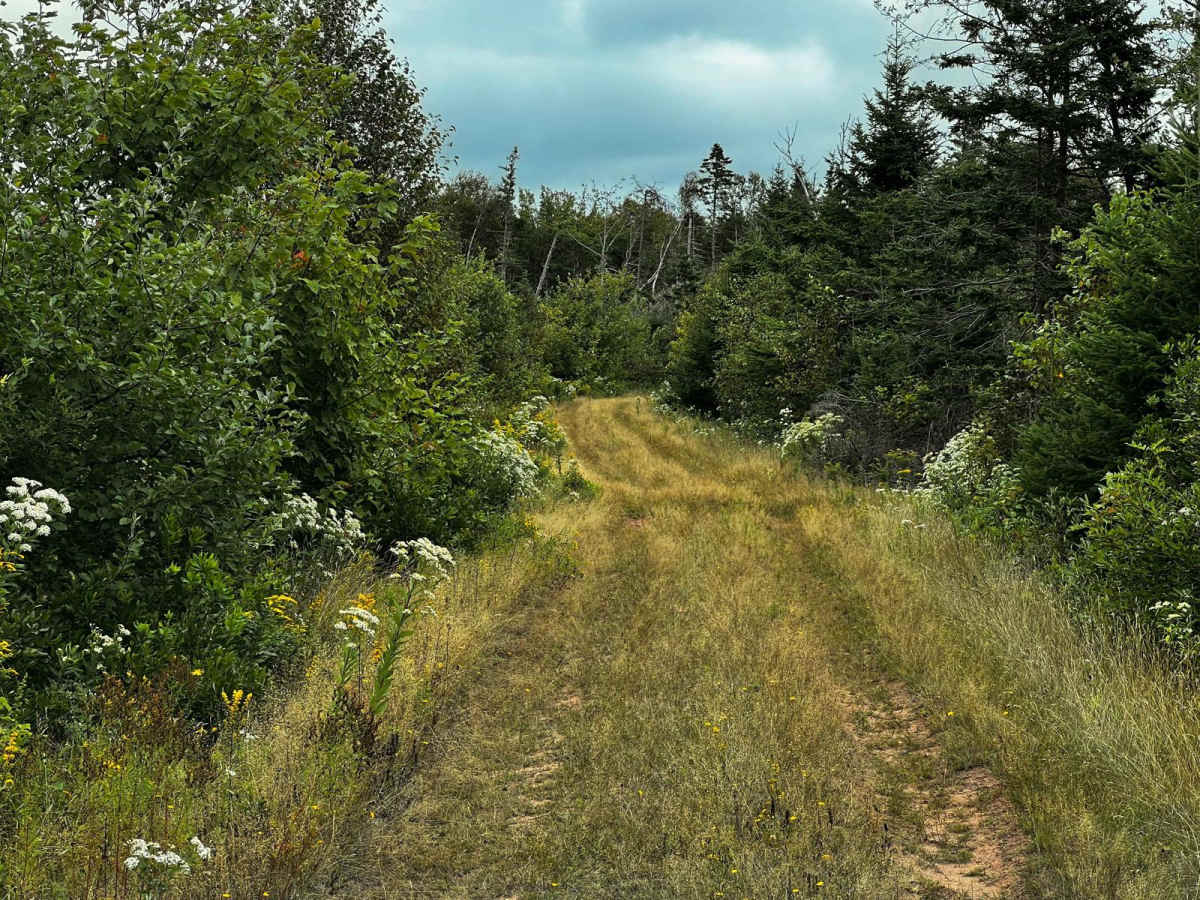 PEI Two Mile Run photo 4