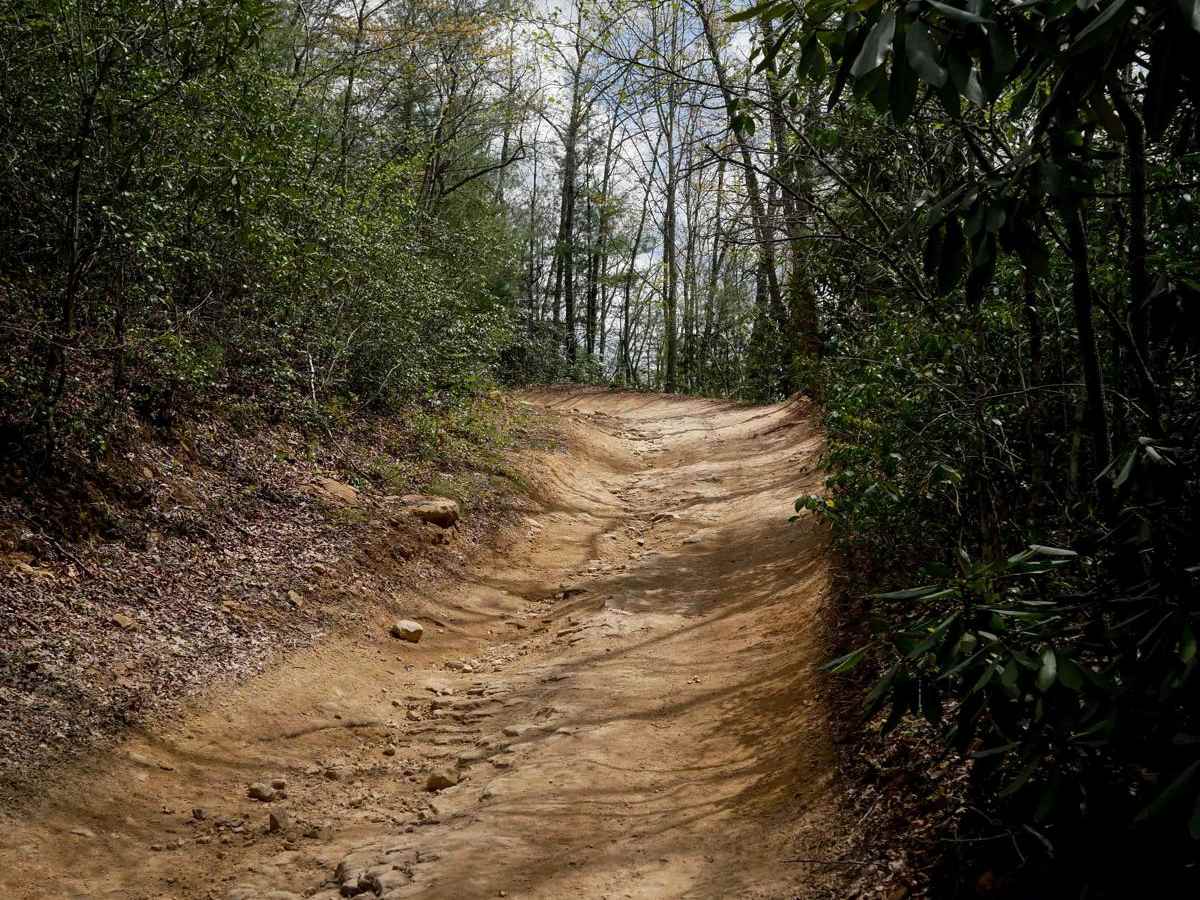P61 trail photo
