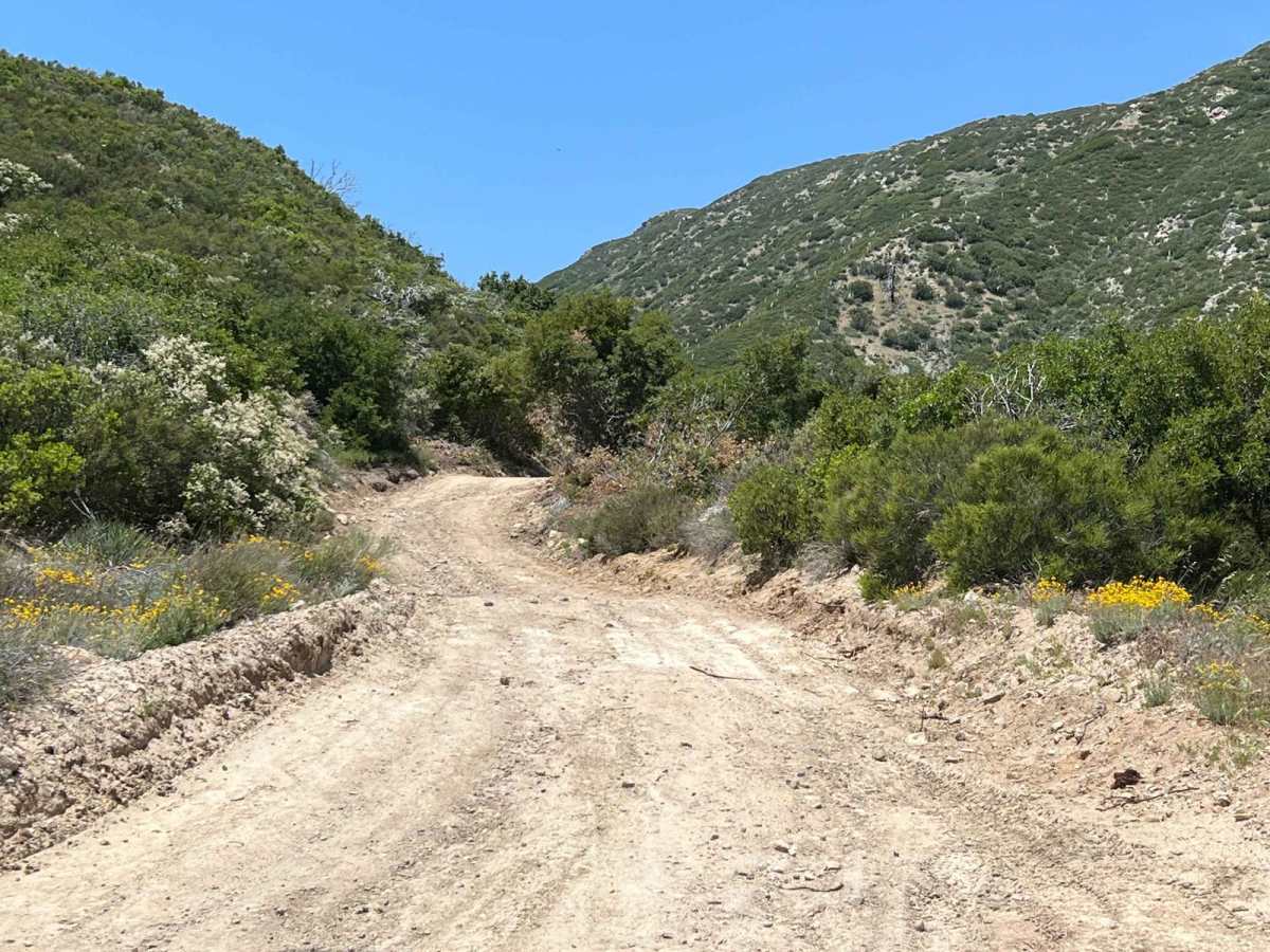 Bailey Canyon photo 3