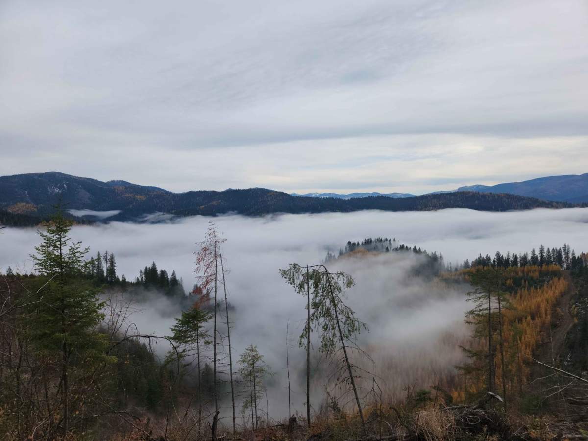 Montgomery-Moon Ridge trail photo