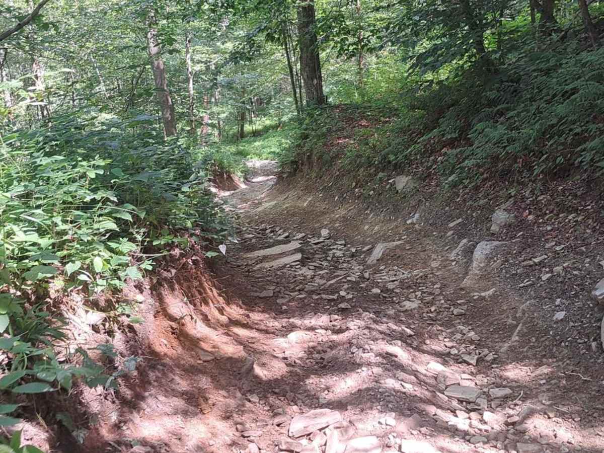 Beaver Slide photo 4