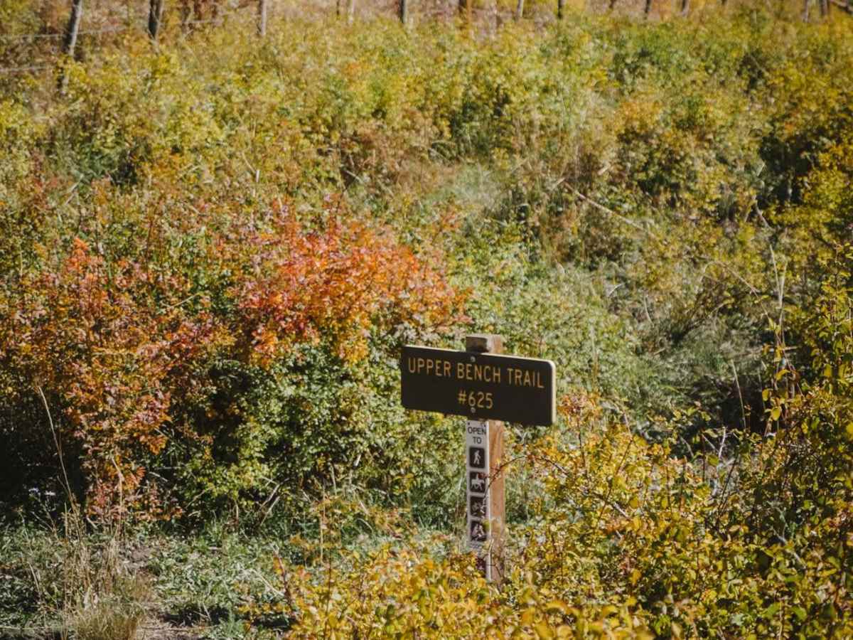 Upper Bench Trail photo 2