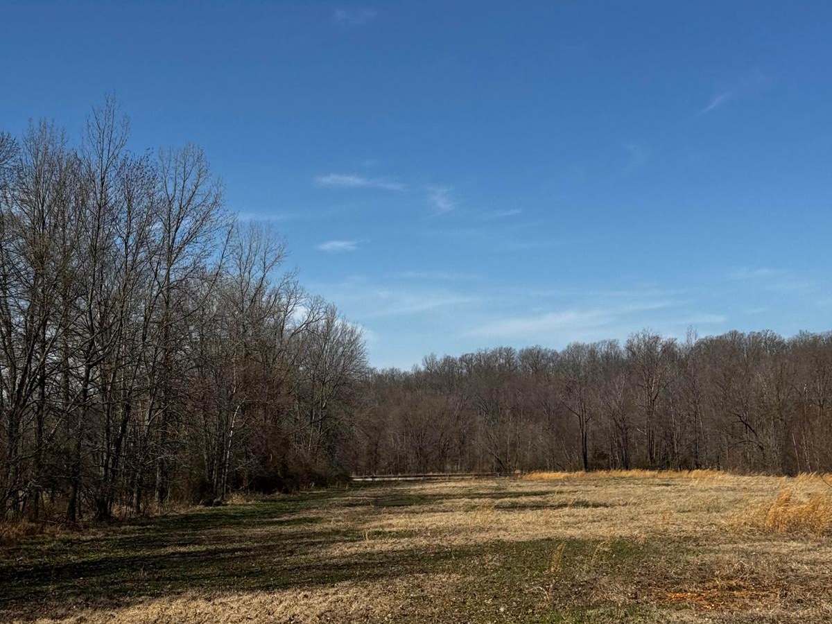 Camp Loop 1 trail photo