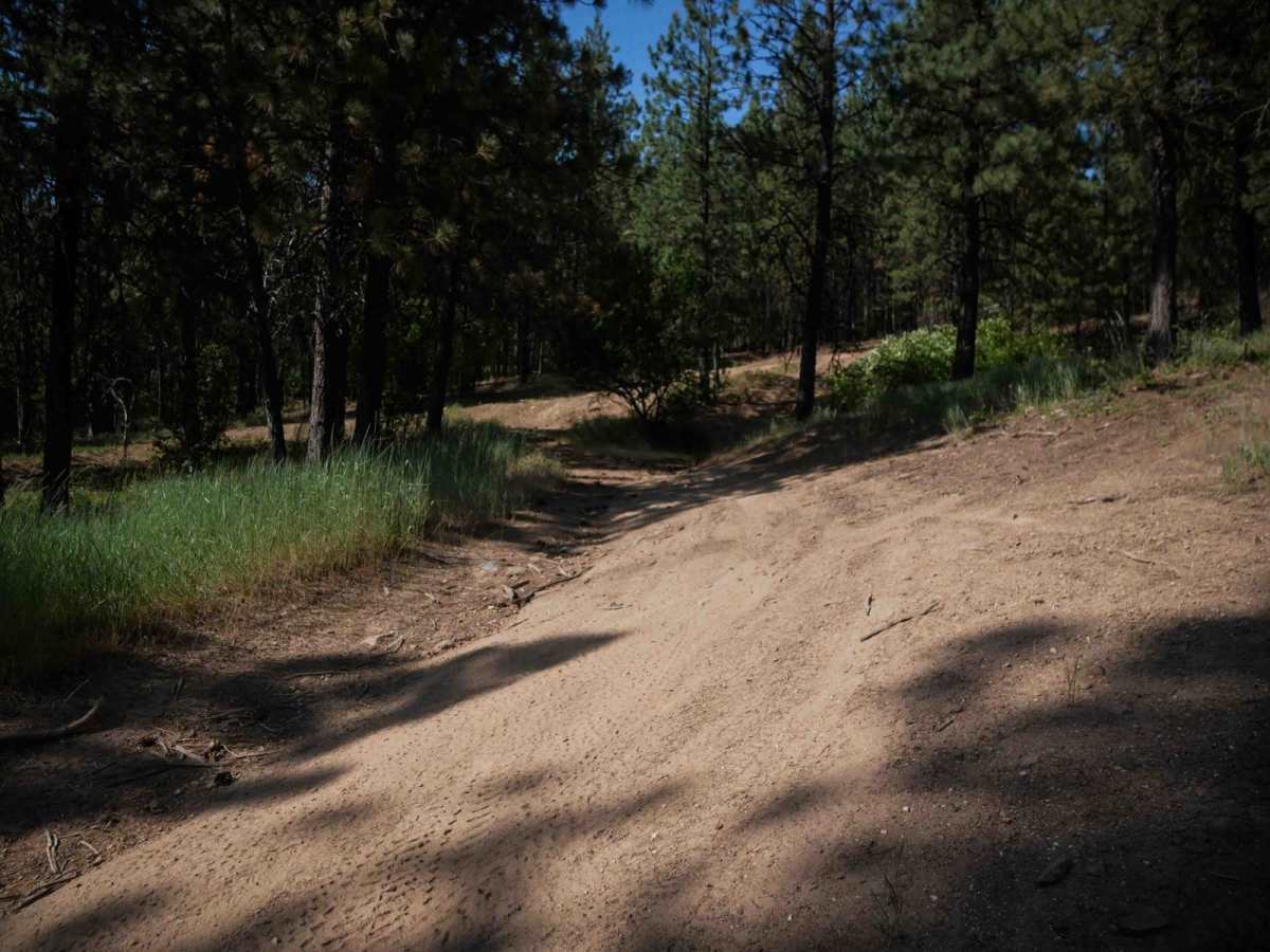 Staging Loop photo 4
