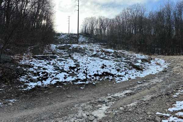 Locust Gap 30