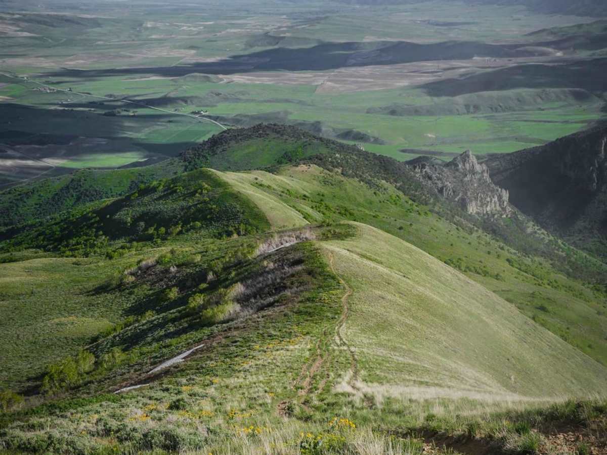 East Slope of Old Baldy Peak photo 2