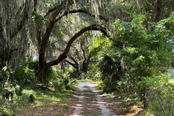 St. Johns River WMD West