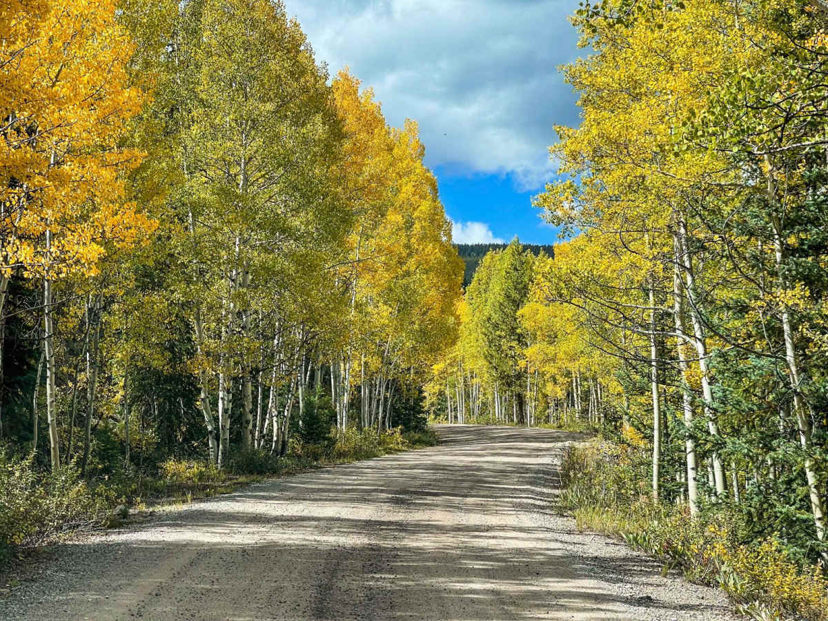 Old Highway Road photo 5