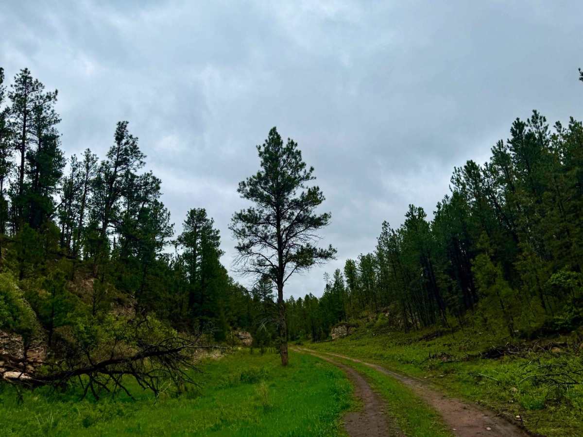 Tepee Branch Road - FS 271.1A photo 5