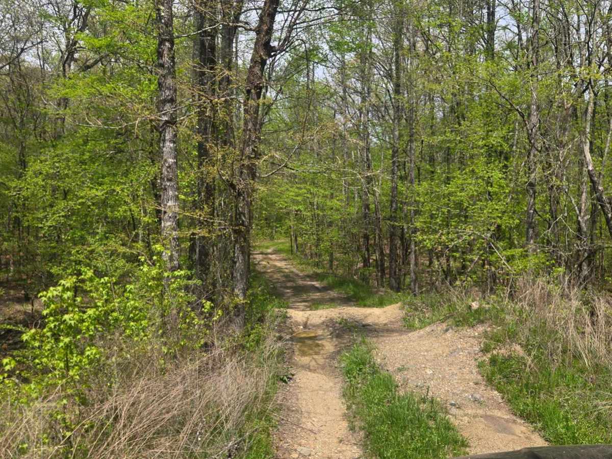Golf Course Trail trail photo
