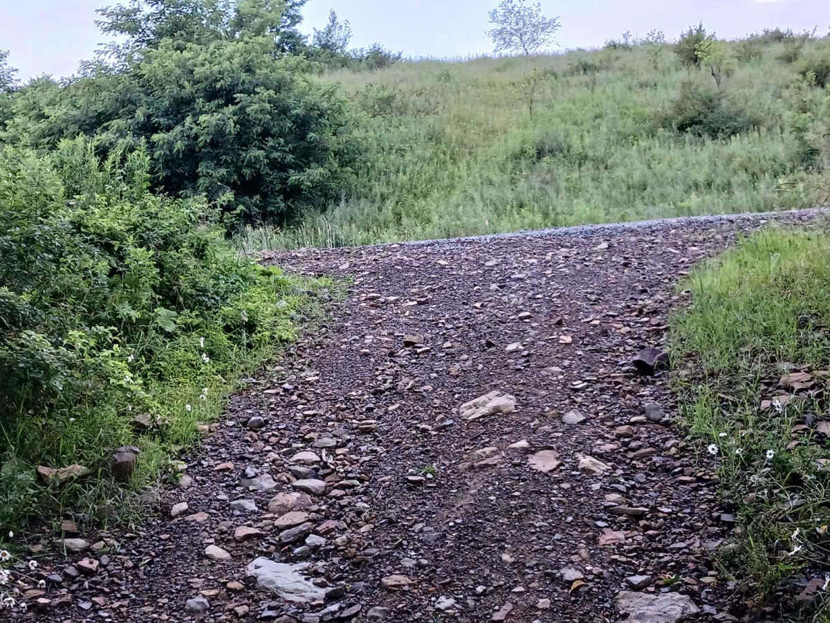 Trail 12I - Rock Run Recreation Area photo 2
