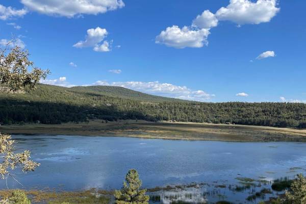 Stoneman Lake Access Road