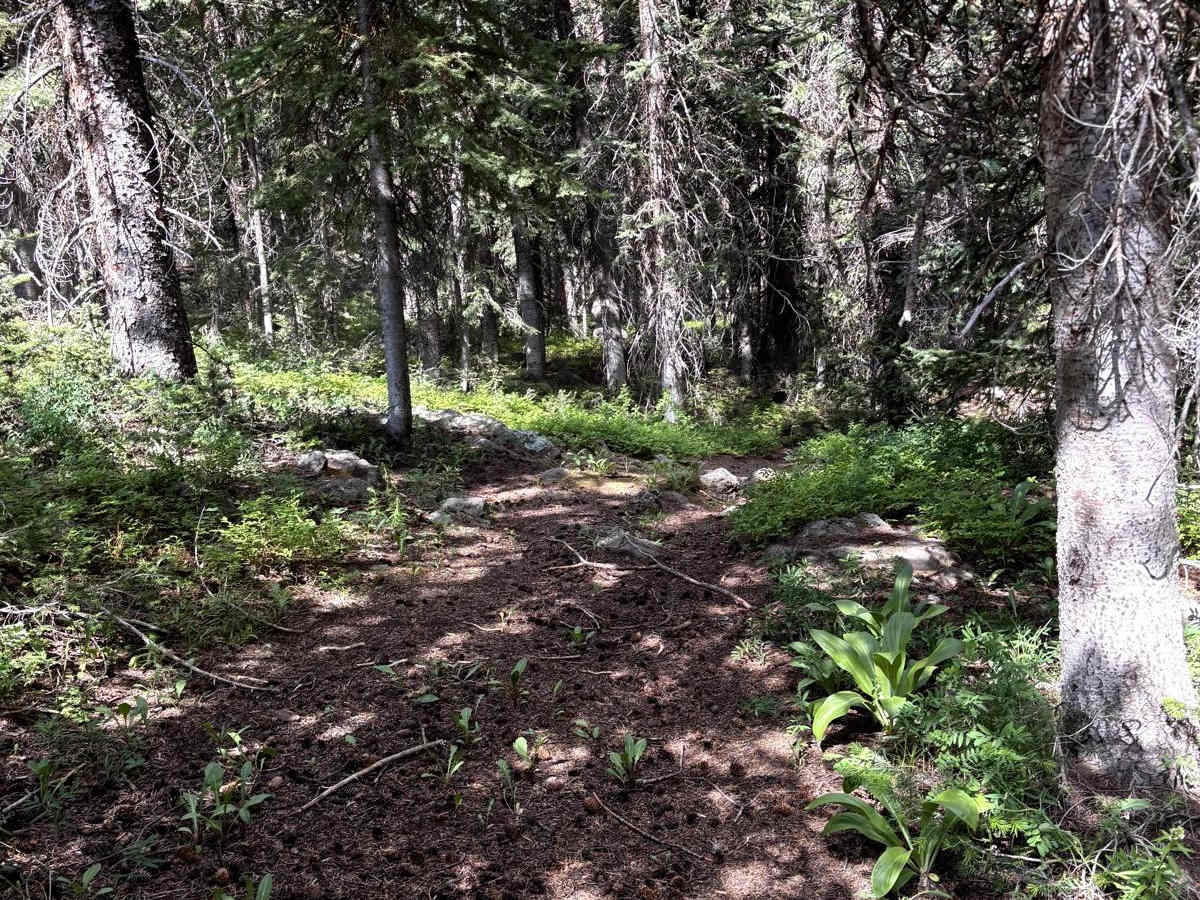 Greenwood Trail photo 4