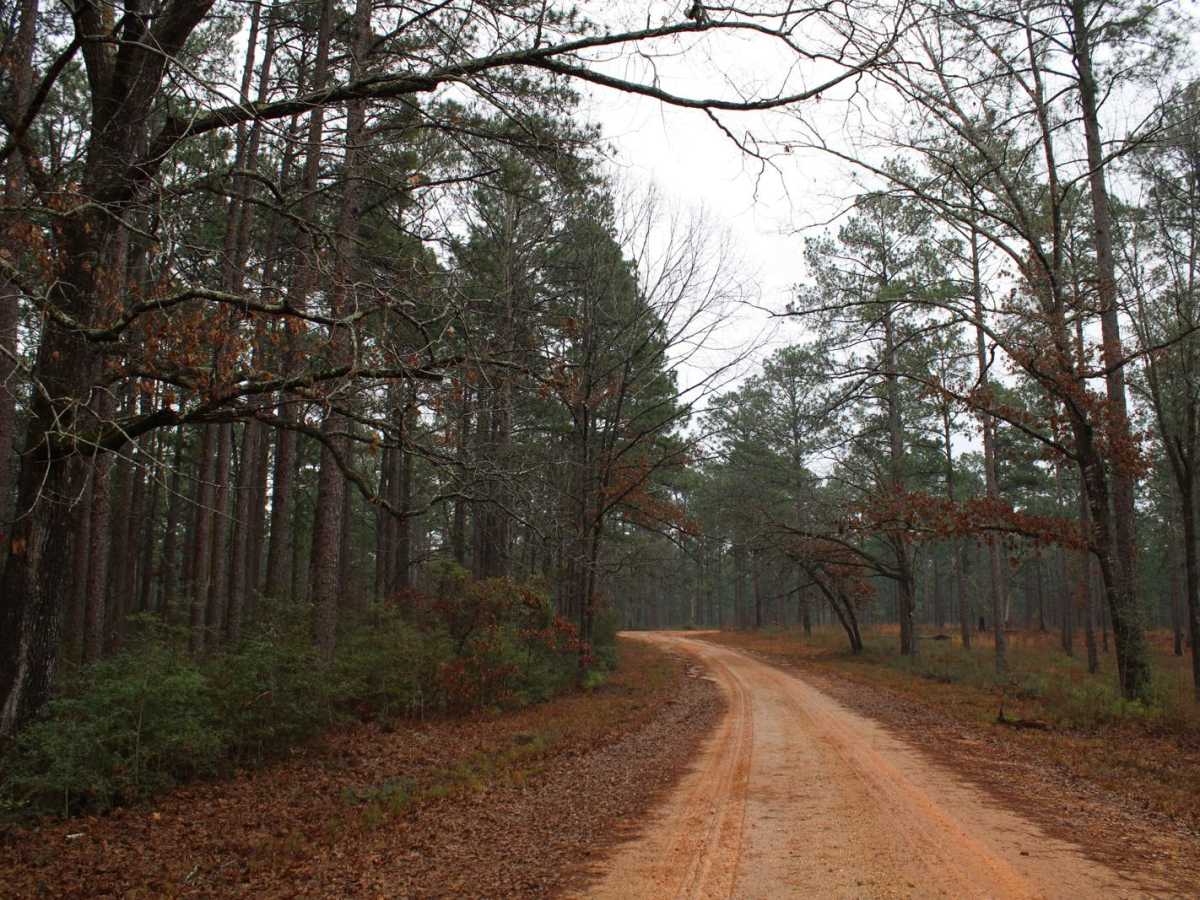 To Yankee Springs Road photo 4