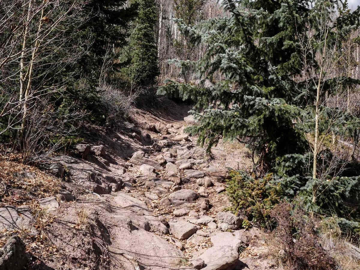 West Alder Trail - 798 photo 3
