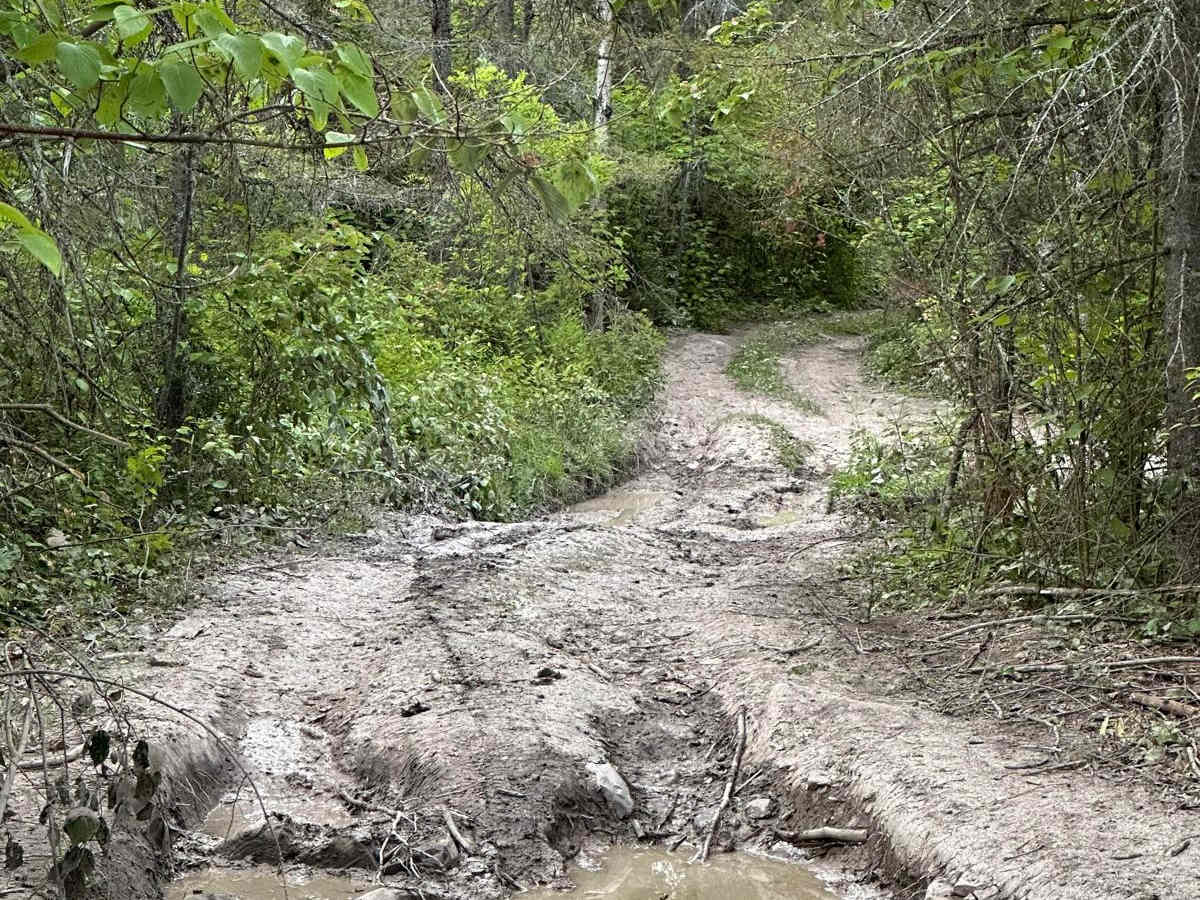 Fossil Ledge Loop trail photo