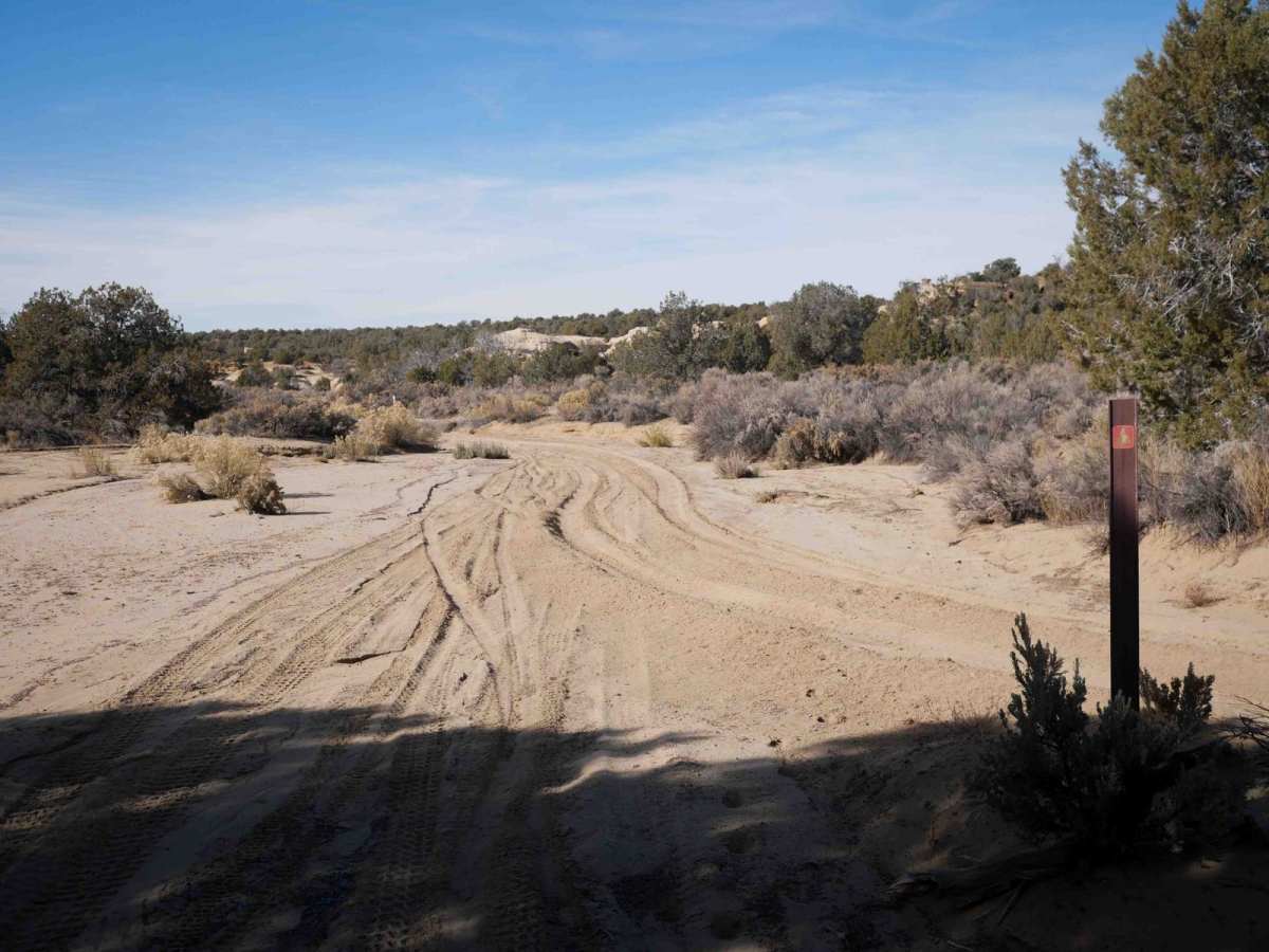 North Twin Wash to Pickering Arroyo ATV trail photo