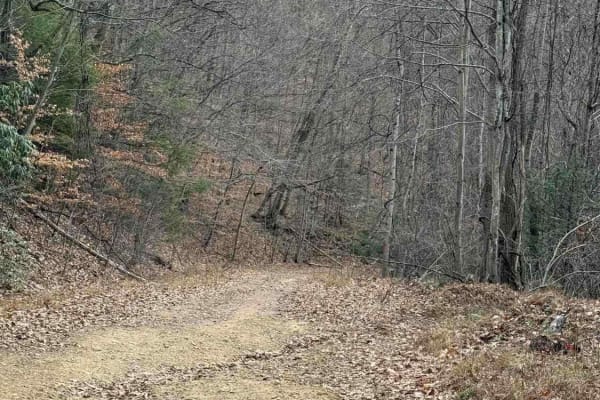 Spruce Run Road