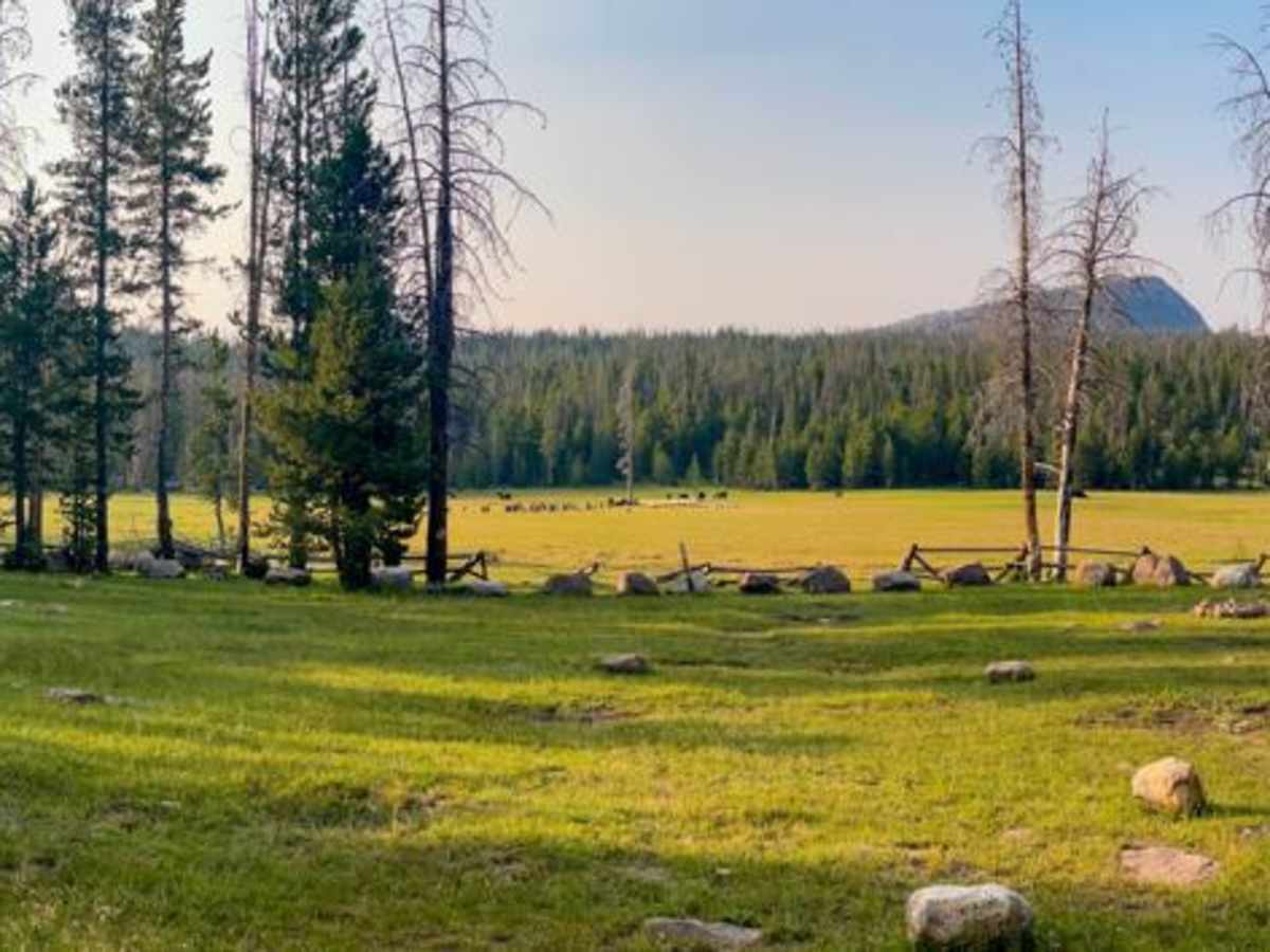 Lambert Meadows - FR 80107 photo 6