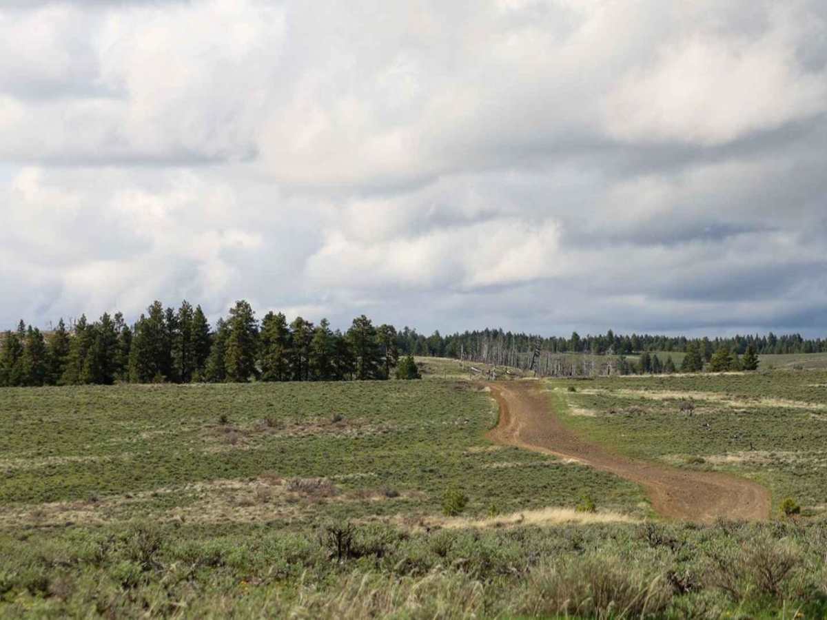 Quilomene Ridge Road photo 3