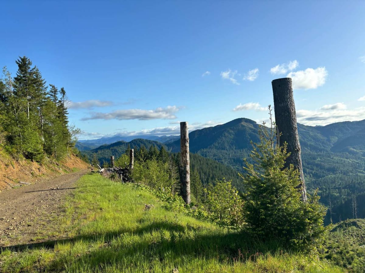 Jones Creek Road photo 4