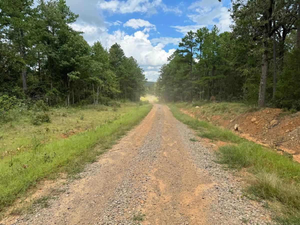 96027A trail photo