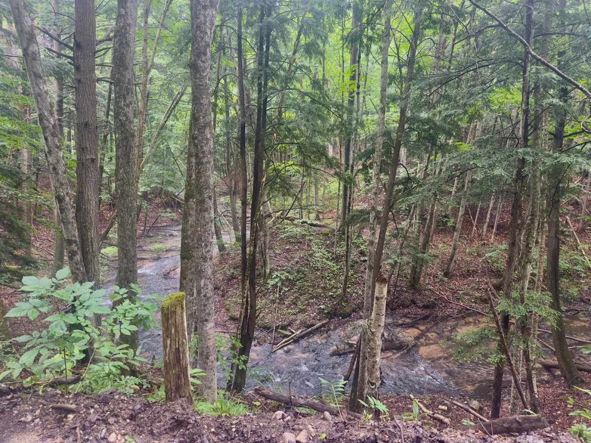 Cascade Road trail photo