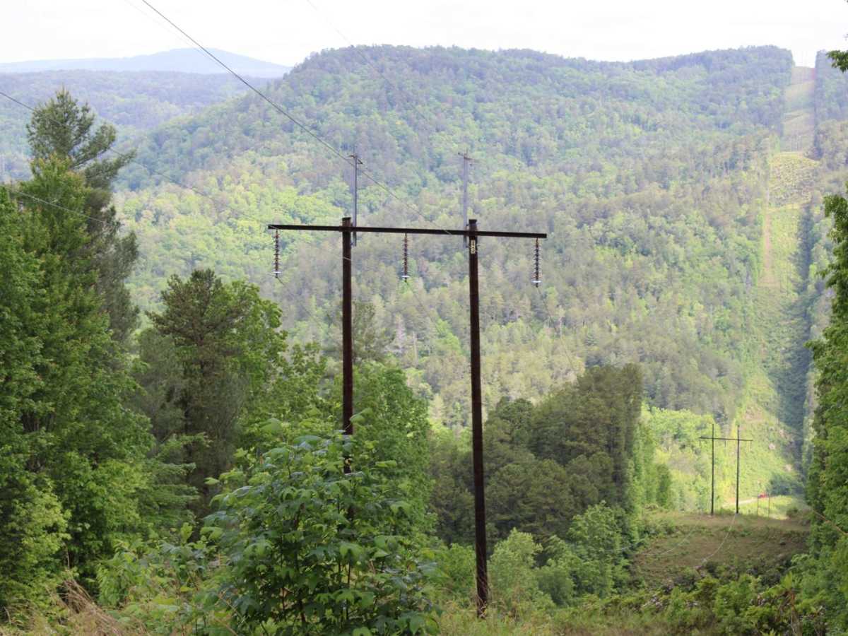 South Panther Creek Road (FSR 220) photo 5