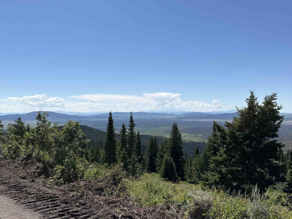 Willow Creek to Caribou Mountain  FS#50018 photo 3