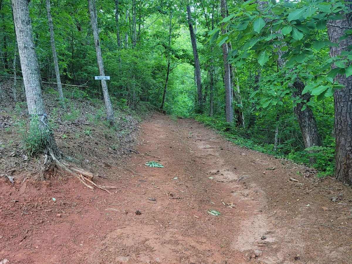 Still Hill Access trail photo