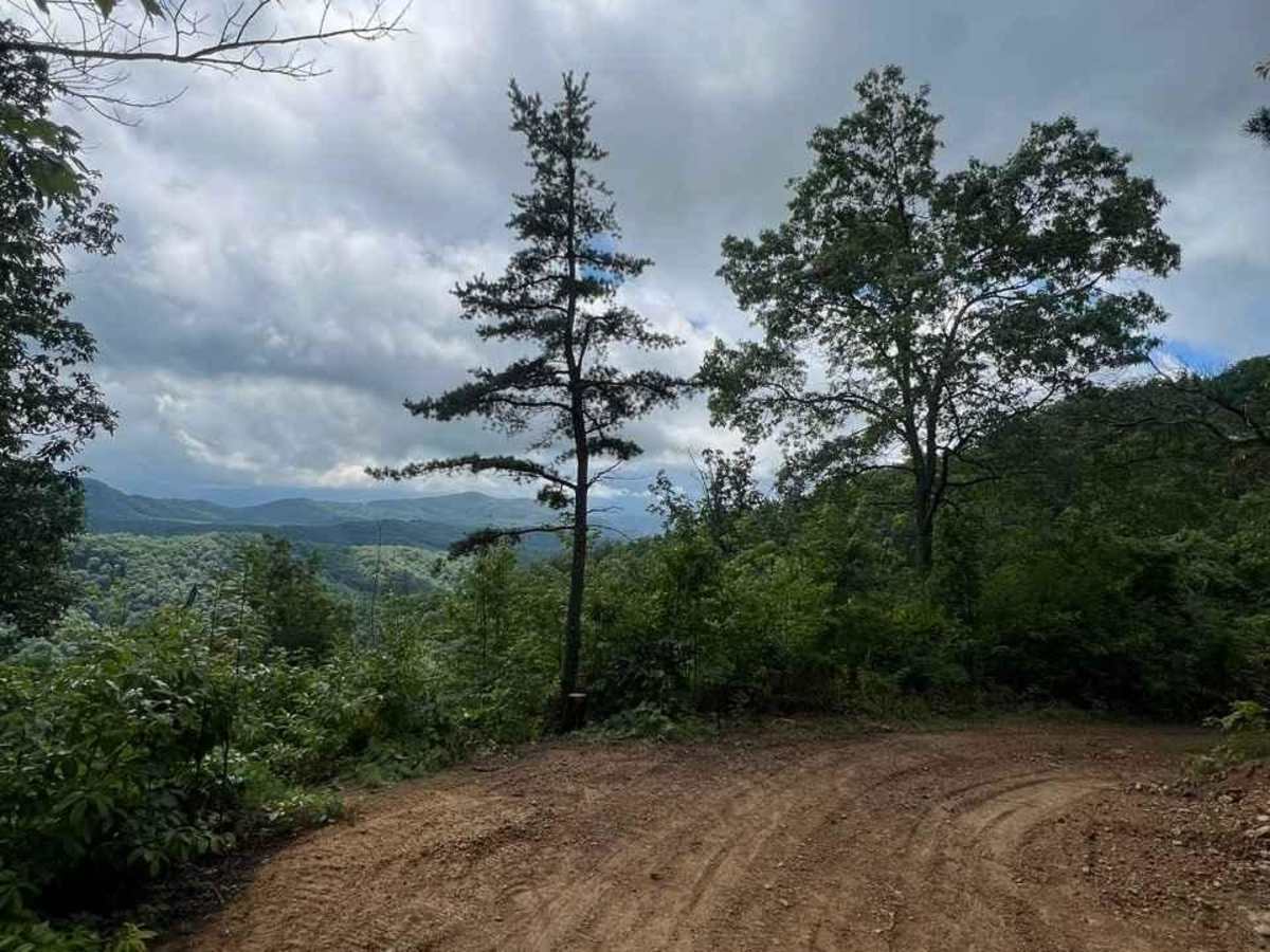 Horse Cove Gap trail photo