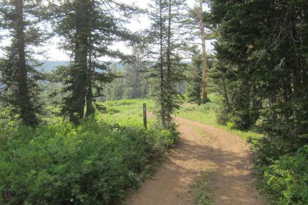 Church Hollow Trail