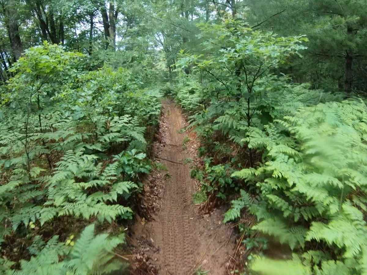 Lincoln Hills Single Track photo 5