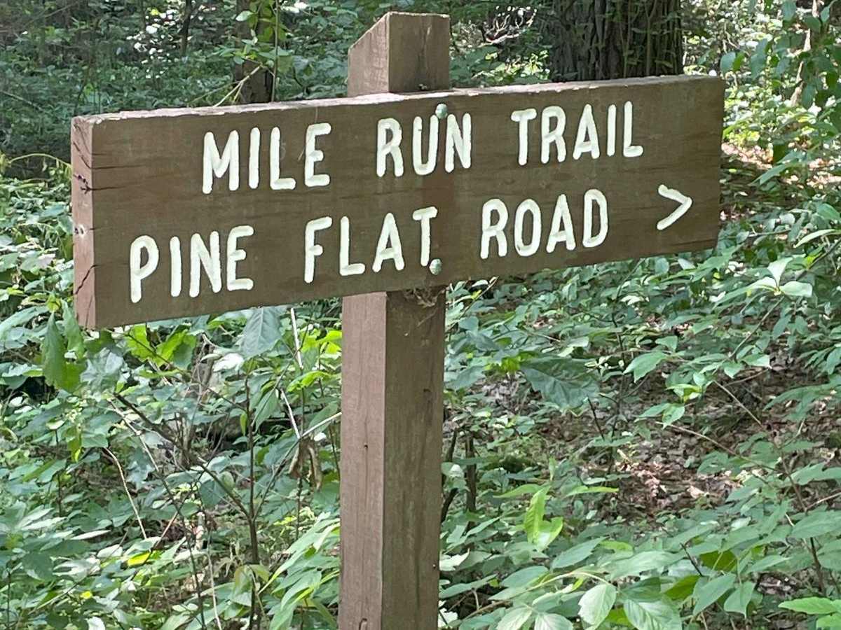Mile Run Road photo 4