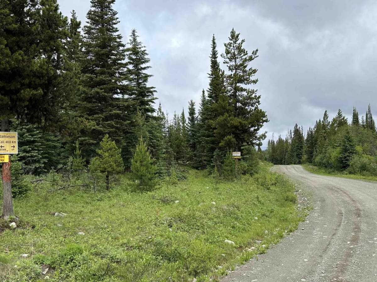 Jamieson Creek Road to Spruce Wilderness Resort photo 6