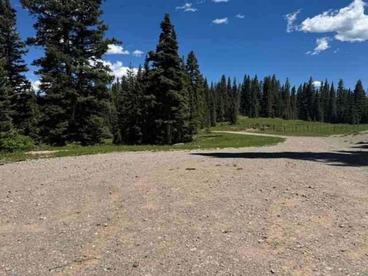 Elbert Creek Road photo 5