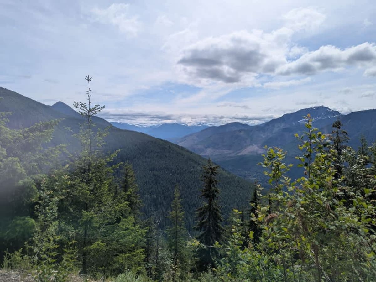 Johnson Ridge Trail photo 6