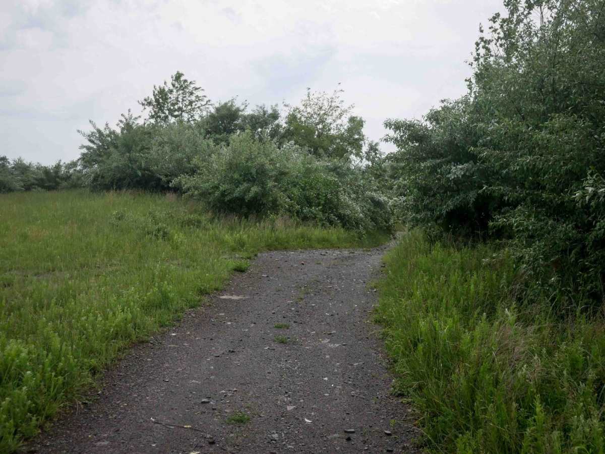 CC11 photo 4