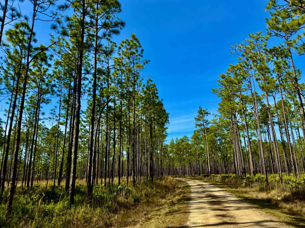 Lost Road 352 photo 2
