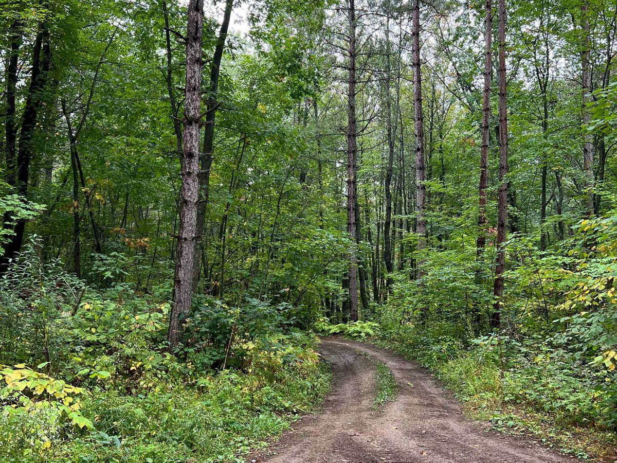 Bull Run Trail Extension photo 5