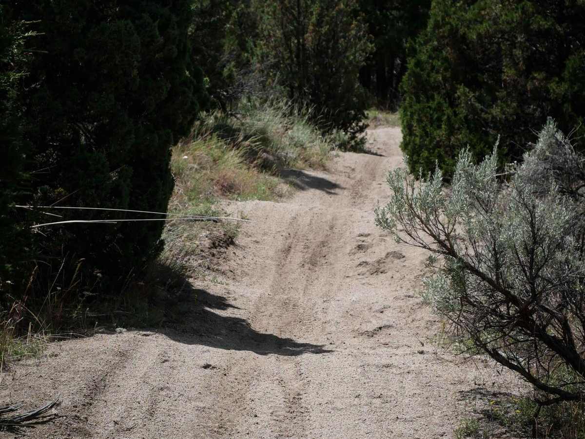 U Trail photo 6