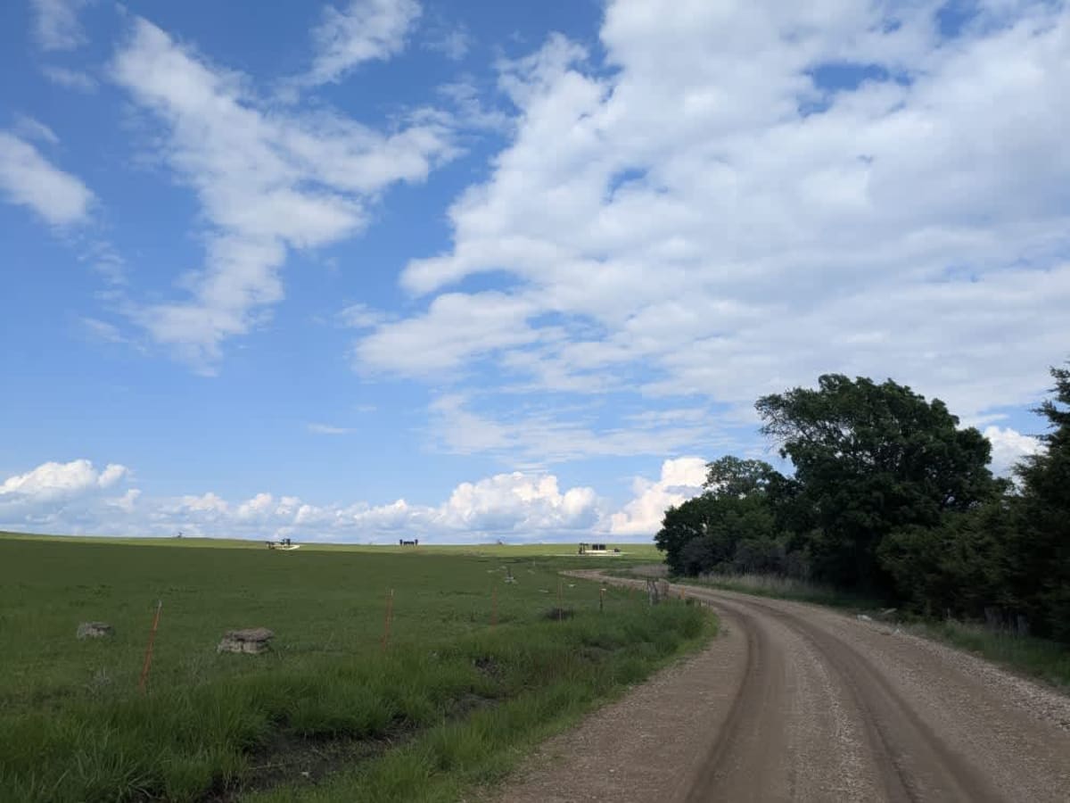 Road 310 photo 2