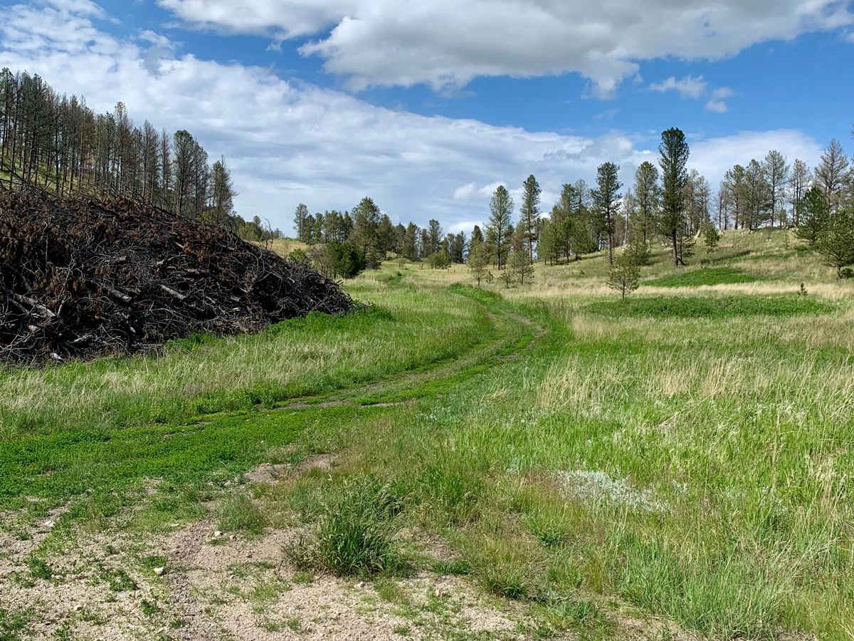 Bowman Road Loop photo 6