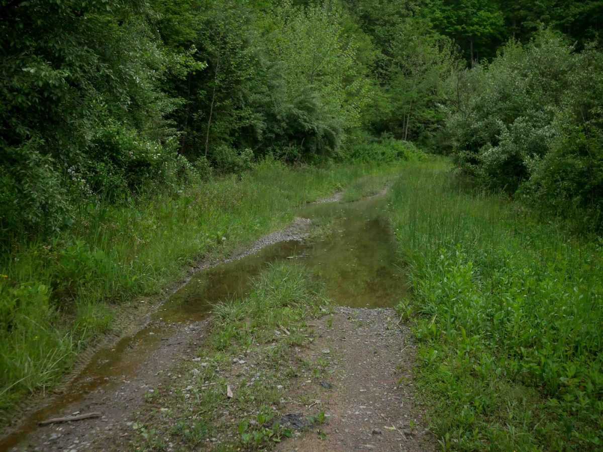 J78 photo 3