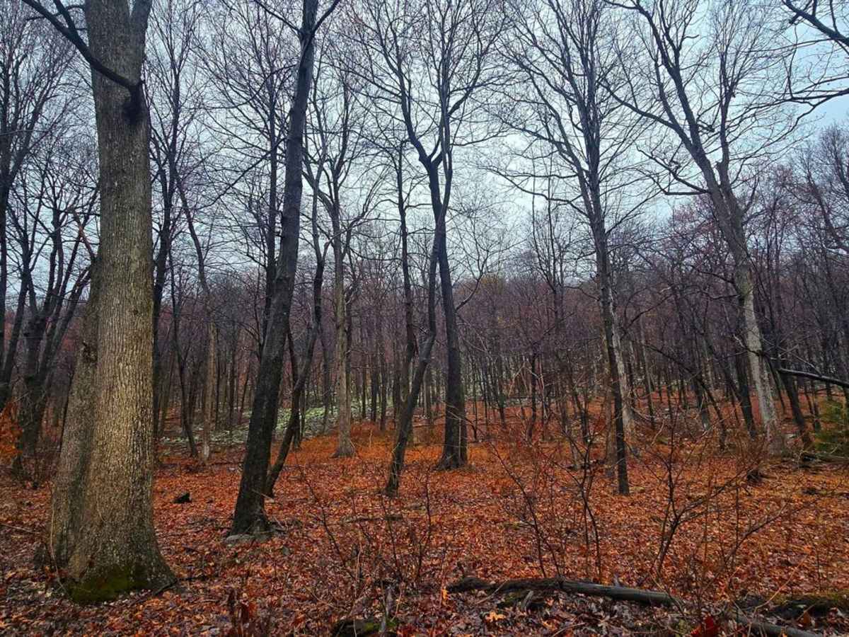 3 Square Hollow Road photo 4