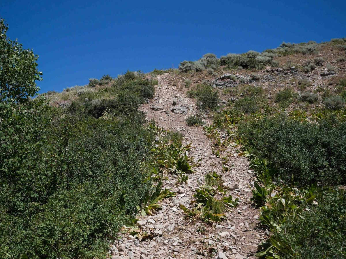 South Sulphur Canyon #5238  trail photo