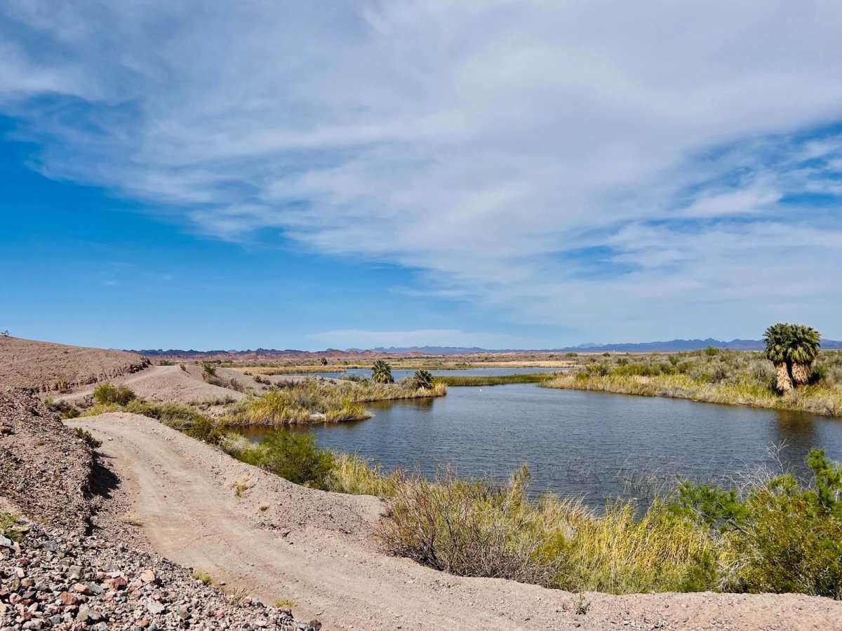 Ferguson River Run trail photo