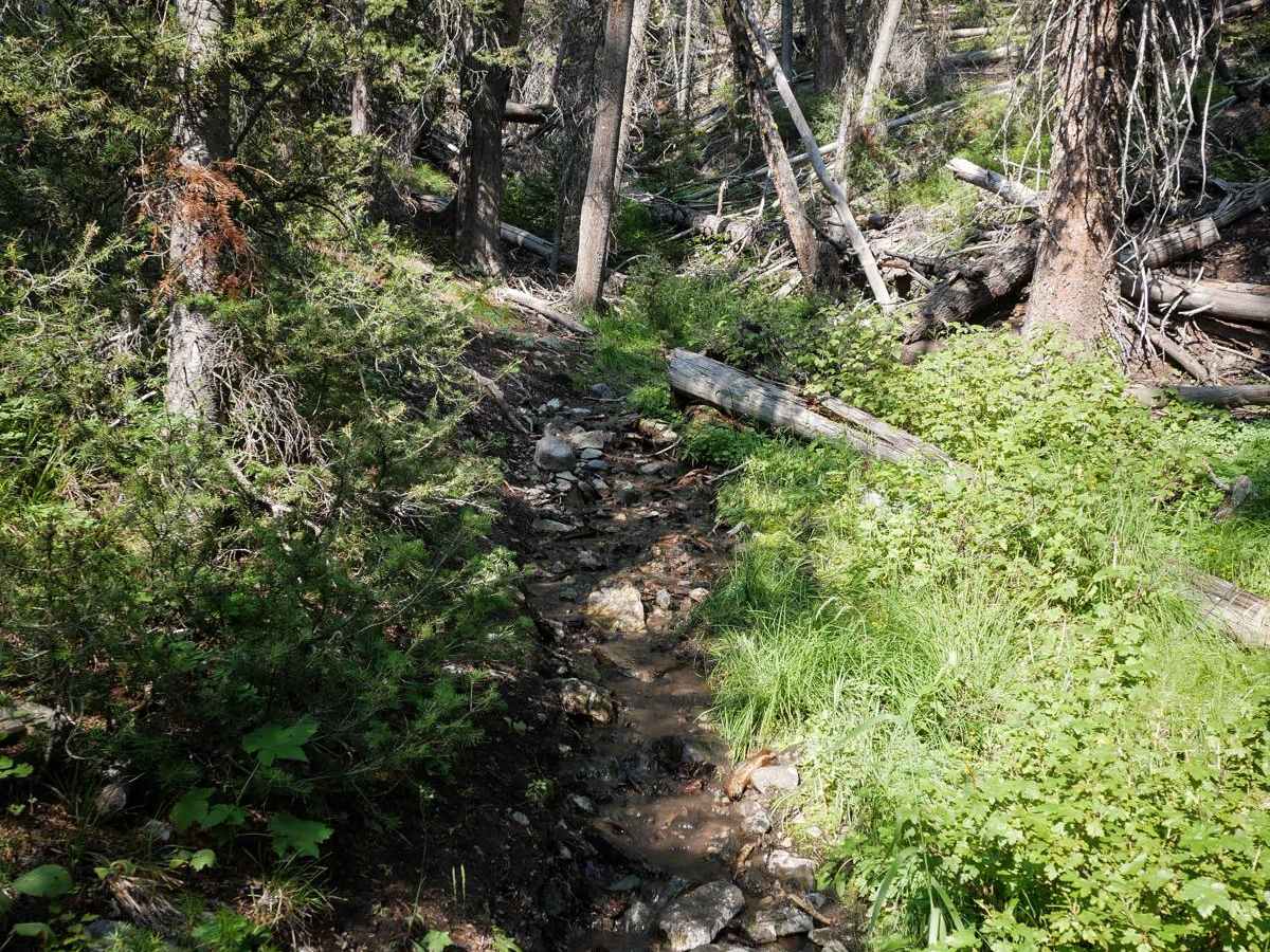 Silver Creek photo 5